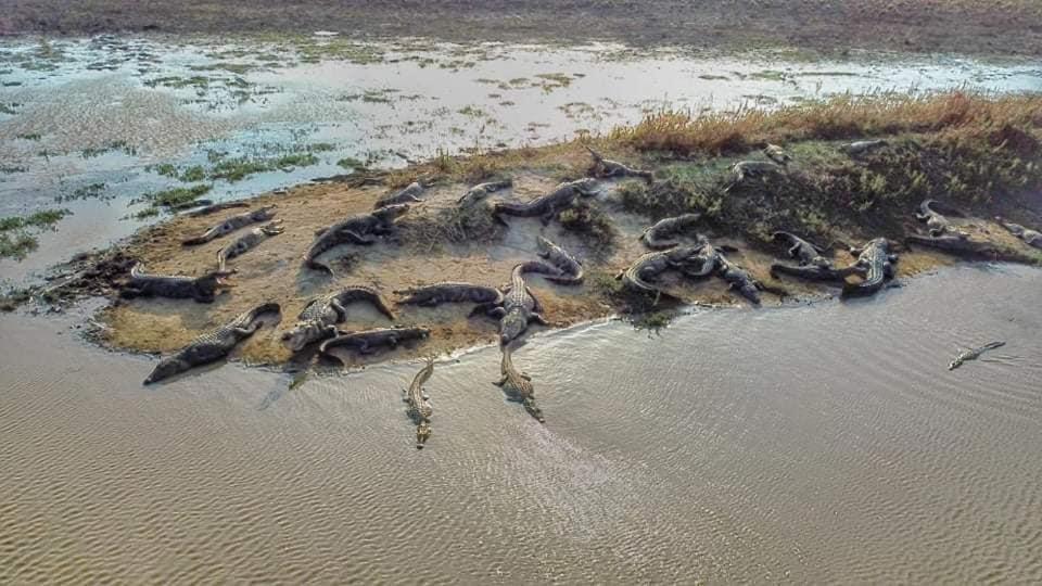 Crocodile Park Bungalow Kataragama Bagian luar foto